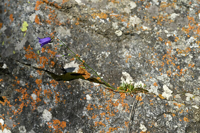 BUITEN BEELD Foto: 447576