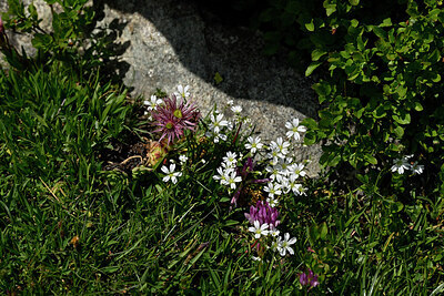 BUITEN BEELD Foto: 447601
