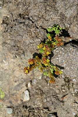 BUITEN BEELD Foto: 447604