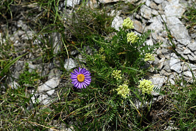 BUITEN BEELD Foto: 447608