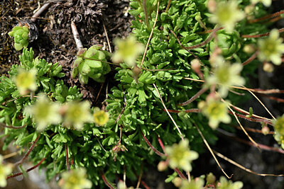 BUITEN BEELD Foto: 447610
