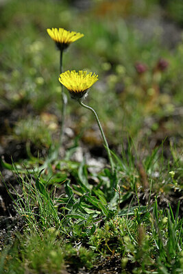 BUITEN BEELD Foto: 447616