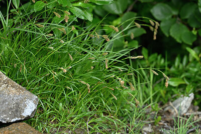 BUITEN BEELD Foto: 447620