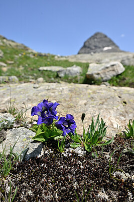 BUITEN BEELD Foto: 447642