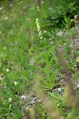 BUITEN BEELD Foto: 447683