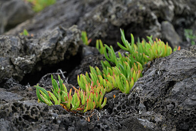 BUITEN BEELD Foto: 447685
