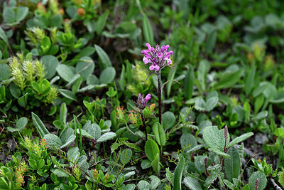 BUITEN BEELD Foto: 447686