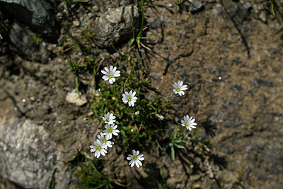 BUITEN BEELD Foto: 447692