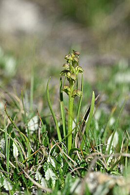 BUITEN BEELD Foto: 447705