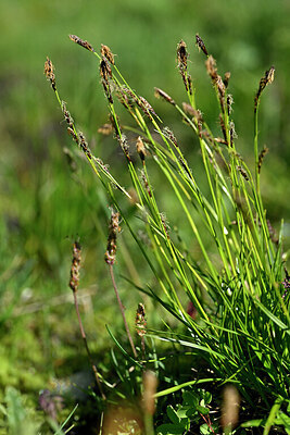BUITEN BEELD Foto: 447706