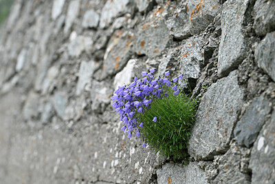 BUITEN BEELD Foto: 447717