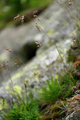 BUITEN BEELD Foto: 447723