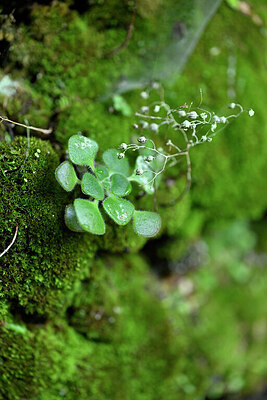 BUITEN BEELD Foto: 447724