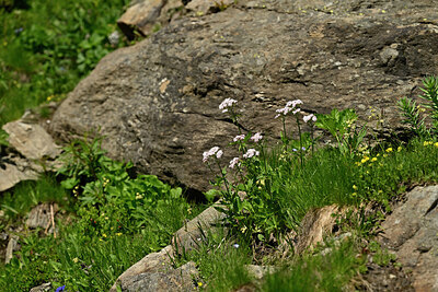 BUITEN BEELD Foto: 447733