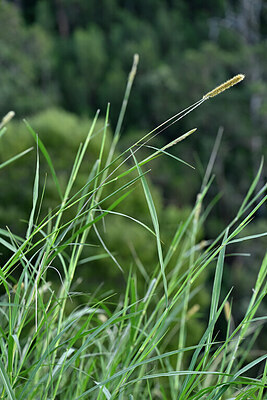 BUITEN BEELD Foto: 447755