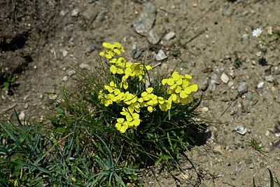 BUITEN BEELD Foto: 447759