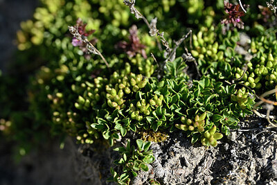 BUITEN BEELD Foto: 447779