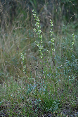 BUITEN BEELD Foto: 447782