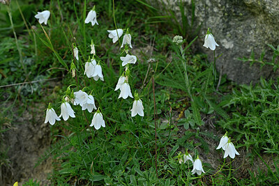 BUITEN BEELD Foto: 447800