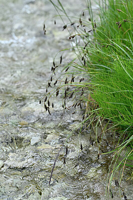BUITEN BEELD Foto: 447801