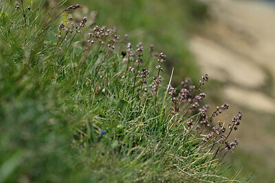 BUITEN BEELD Foto: 447802