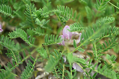 BUITEN BEELD Foto: 447807