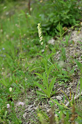BUITEN BEELD Foto: 447814