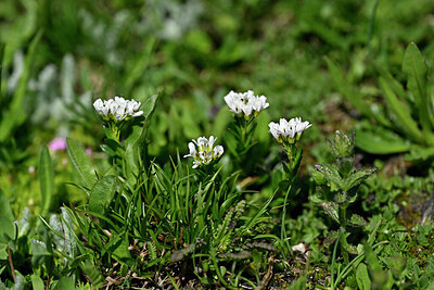 BUITEN BEELD Foto: 447822