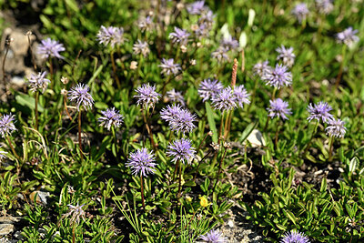 BUITEN BEELD Foto: 447844
