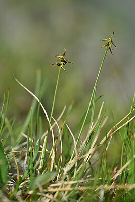 BUITEN BEELD Foto: 447851