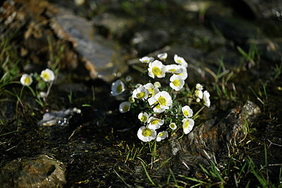 BUITEN BEELD Foto: 447856