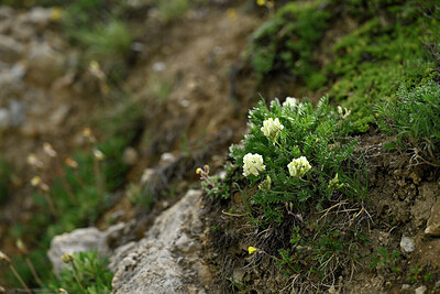 BUITEN BEELD Foto: 447873