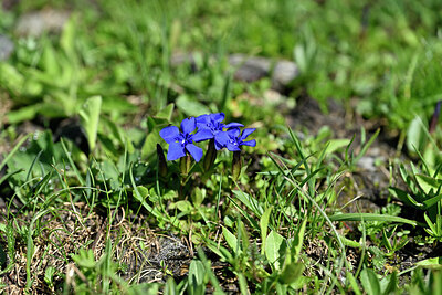 BUITEN BEELD Foto: 447886