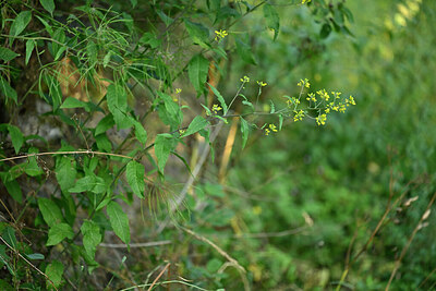 BUITEN BEELD Foto: 447896