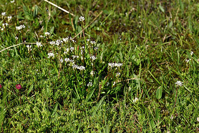 BUITEN BEELD Foto: 447900