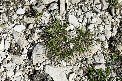 BUITEN BEELD Foto: 447905