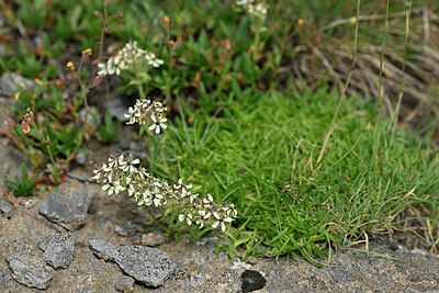BUITEN BEELD Foto: 447913