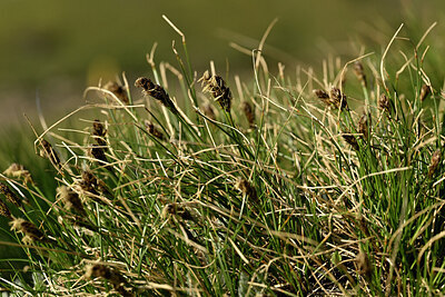 BUITEN BEELD Foto: 447920