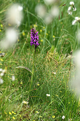 BUITEN BEELD Foto: 447945