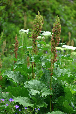 BUITEN BEELD Foto: 447964