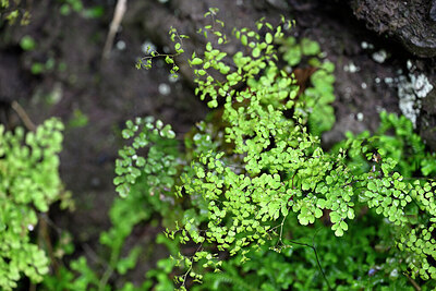 BUITEN BEELD Foto: 447968