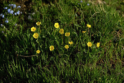 BUITEN BEELD Foto: 447981