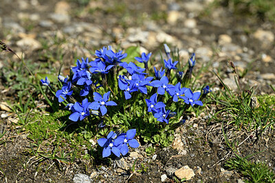 BUITEN BEELD Foto: 447986