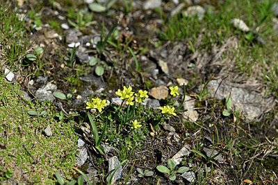 BUITEN BEELD Foto: 447989