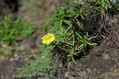 BUITEN BEELD Foto: 448002