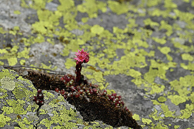 BUITEN BEELD Foto: 448009