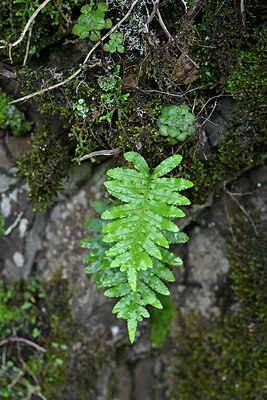 BUITEN BEELD Foto: 448014