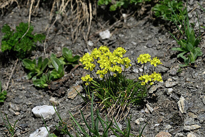 BUITEN BEELD Foto: 448018