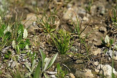 BUITEN BEELD Foto: 448023
