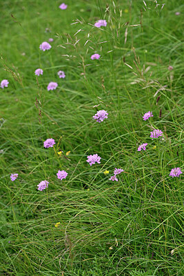 BUITEN BEELD Foto: 448028